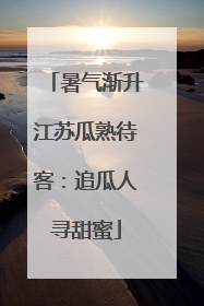 暑气渐升江苏瓜熟待客：追瓜人寻甜蜜