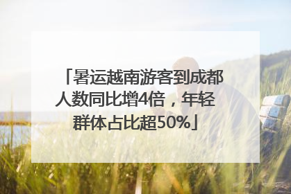暑运越南游客到成都人数同比增4倍，年轻群体占比超50%