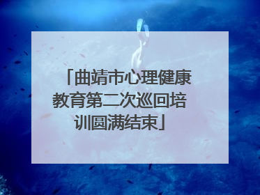 曲靖市心理健康教育第二次巡回培训圆满结束