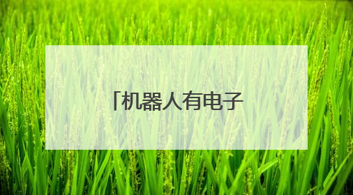 机器人有电子皮肤了！触觉或为具身智能“最后一块拼图”