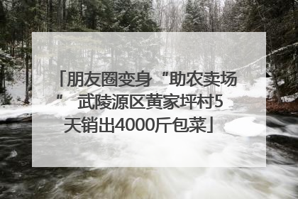 朋友圈变身“助农卖场” 武陵源区黄家坪村5天销出4000斤包菜
