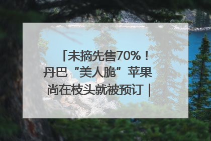 未摘先售70%！丹巴“美人脆”苹果尚在枝头就被预订｜长征路上看四川