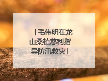 毛伟明在龙山桑植慈利指导防汛救灾