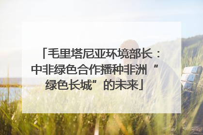毛里塔尼亚环境部长：中非绿色合作播种非洲“绿色长城”的未来