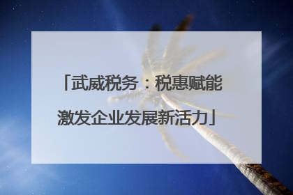 武威税务：税惠赋能 激发企业发展新活力