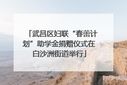 武昌区妇联“春蕾计划”助学金捐赠仪式在白沙洲街道举行