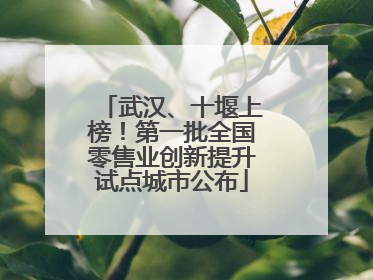 武汉、十堰上榜！第一批全国零售业创新提升试点城市公布