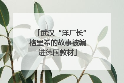 武汉“洋厂长”格里希的故事被编进德国教材