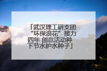 武汉理工研支团“环保浪花”接力四年 创意活动种下节水护水种子
