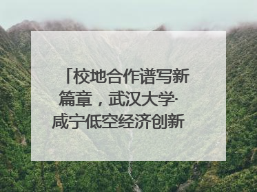 校地合作谱写新篇章，武汉大学·咸宁低空经济创新研究院签约成立