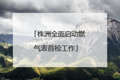 株洲全面启动燃气表首检工作
