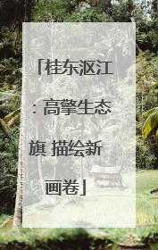 桂东沤江：高擎生态旗 描绘新画卷