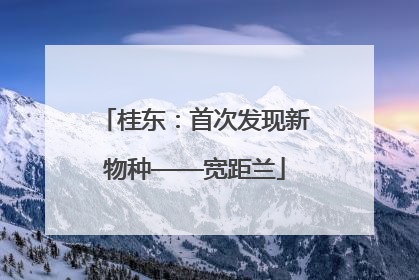 桂东：首次发现新物种——宽距兰