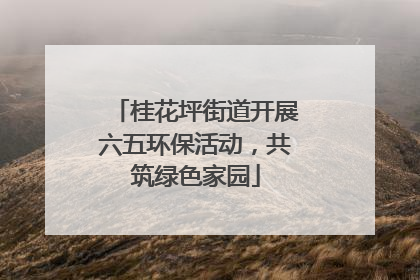 桂花坪街道开展六五环保活动，共筑绿色家园