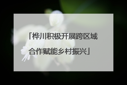 桦川积极开展跨区域合作赋能乡村振兴