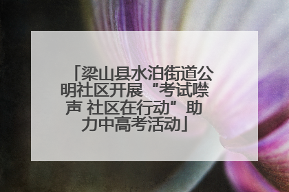 梁山县水泊街道公明社区开展“考试噤声 社区在行动”助力中高考活动