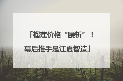 榴莲价格“腰斩”！幕后推手是江夏智造