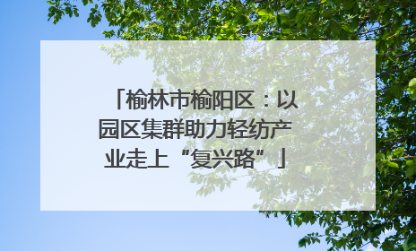 榆林市榆阳区：以园区集群助力轻纺产业走上“复兴路”