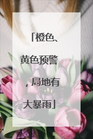 橙色、黄色预警，局地有大暴雨