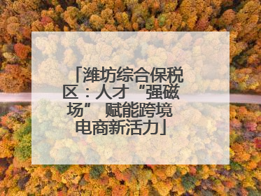 潍坊综合保税区：人才“强磁场” 赋能跨境电商新活力