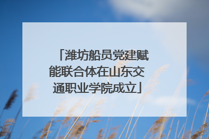 潍坊船员党建赋能联合体在山东交通职业学院成立
