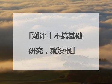 潮评丨不搞基础研究，就没根