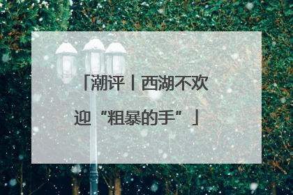 潮评丨西湖不欢迎“粗暴的手”