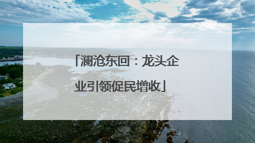 澜沧东回：龙头企业引领促民增收