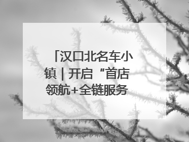 汉口北名车小镇｜开启“首店领航+全链服务”进阶方程式