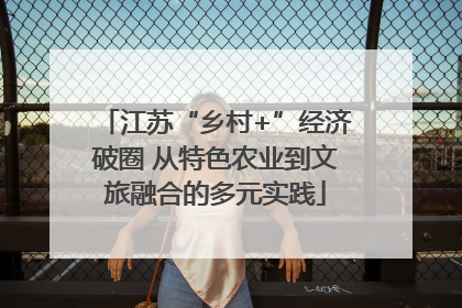 江苏“乡村+”经济破圈 从特色农业到文旅融合的多元实践