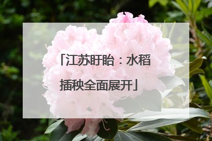 江苏盱眙：水稻插秧全面展开