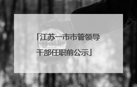 江苏一市市管领导干部任职前公示