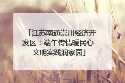 江苏南通崇川经济开发区：端午传情暖民心 文明实践润家园