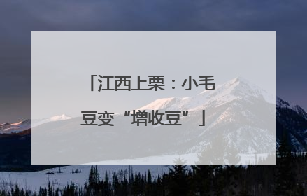 江西上栗：小毛豆变“增收豆”