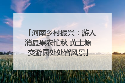 河南乡村振兴：游人消夏果农忙秋 黄土塬变游园处处皆风景