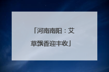 河南南阳：艾草飘香迎丰收