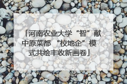 河南农业大学“智”献中原菜都 “校地企”模式共绘丰收新画卷