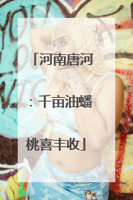 河南唐河：千亩油蟠桃喜丰收