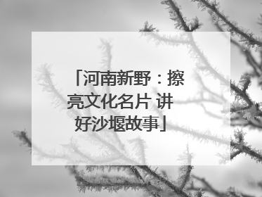 河南新野：擦亮文化名片 讲好沙堰故事