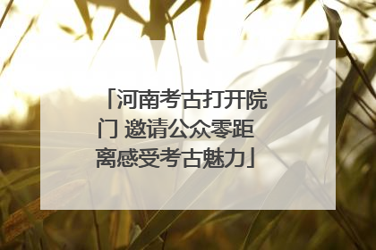 河南考古打开院门 邀请公众零距离感受考古魅力