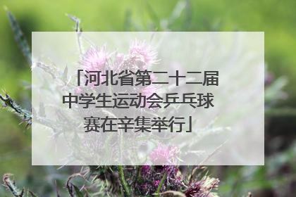 河北省第二十二届中学生运动会乒乓球赛在辛集举行