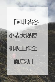 河北省冬小麦大规模机收工作全面启动