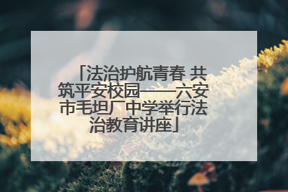 法治护航青春 共筑平安校园——六安市毛坦厂中学举行法治教育讲座