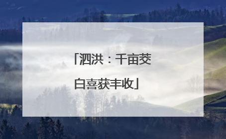 泗洪：千亩茭白喜获丰收