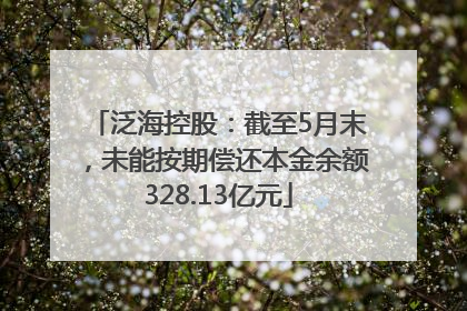 泛海控股：截至5月末，未能按期偿还本金余额328.13亿元