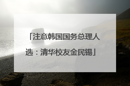 注意韩国国务总理人选：清华校友金民锡