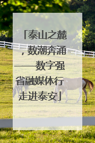 泰山之麓，数潮奔涌——数字强省融媒体行走进泰安