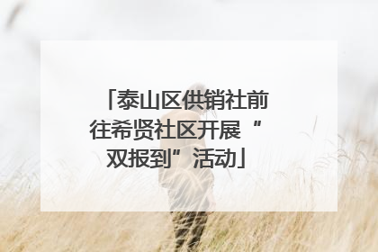 泰山区供销社前往希贤社区开展“双报到”活动