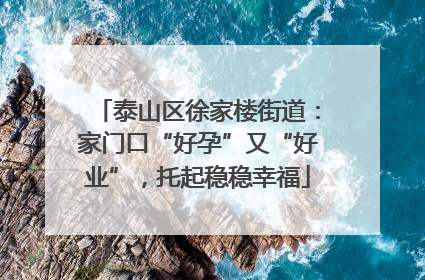 泰山区徐家楼街道：家门口“好孕”又“好业”，托起稳稳幸福