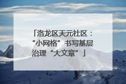 洛龙区天元社区：“小网格”书写基层治理“大文章”